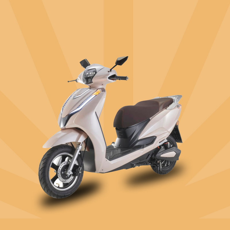 Gallery Scooter 2